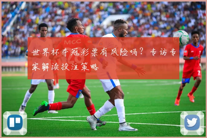 世界杯夺冠彩票有风险吗？专访专家解读投注策略