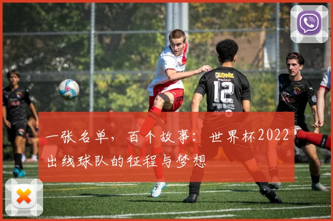 一张名单,百个故事:世界杯2022出线球队的征程与梦想