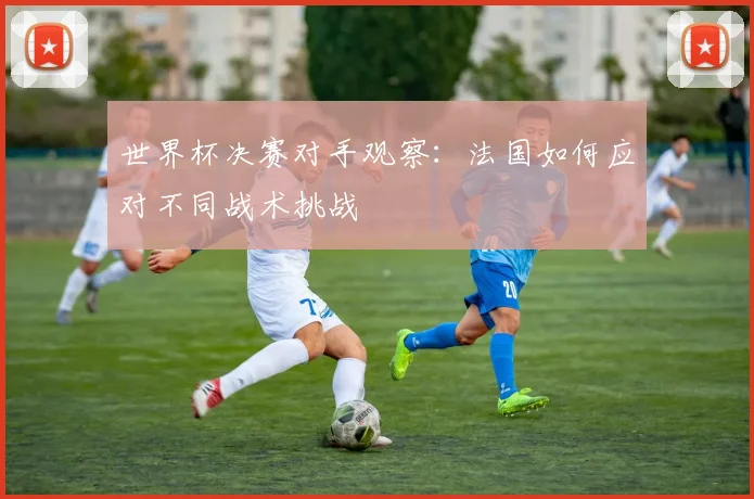 世界杯决赛对手观察:法国如何应对不同战术挑战