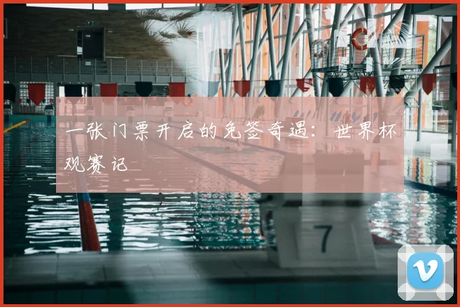 一张门票开启的免签奇遇:世界杯观赛记