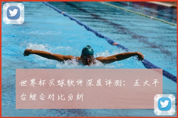 世界杯买球软件深度评测：五大平台综合对比分析