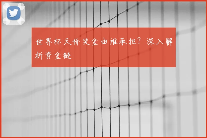 世界杯天价奖金由谁承担?深入解析资金链