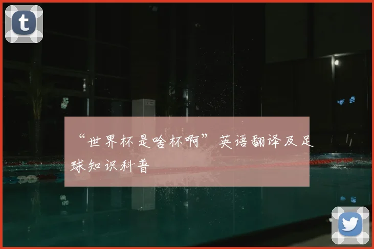 “世界杯是啥杯啊”英语翻译及足球知识科普