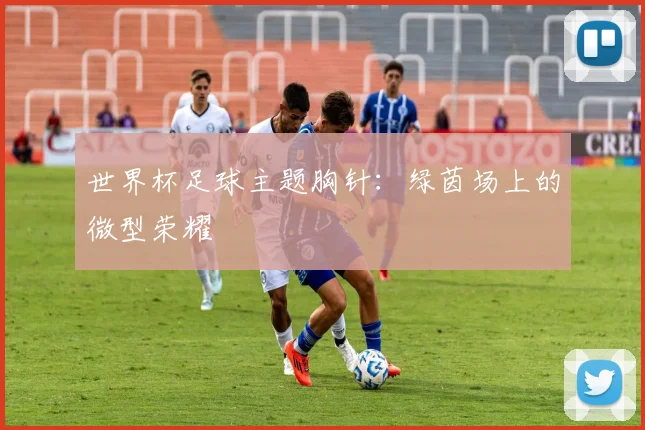 世界杯足球主题胸针:绿茵场上的微型荣耀